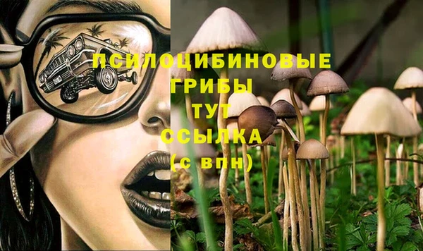 скорость Ростов
