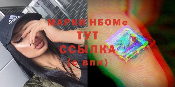 стаф Россошь