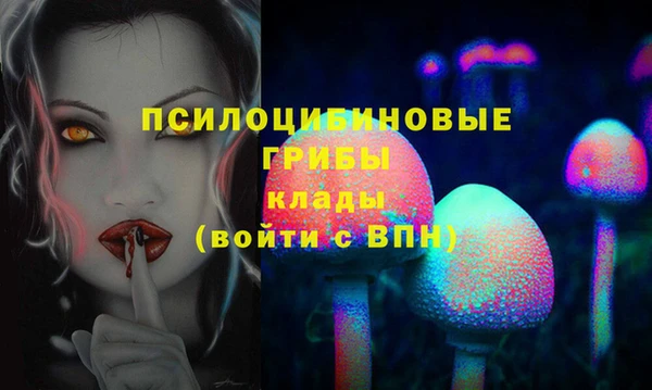 кокс Приозерск